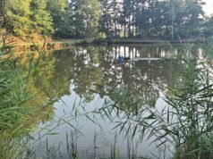 Badewannenrennen in Niederbexbach kehrt an den Angelweiher zurück