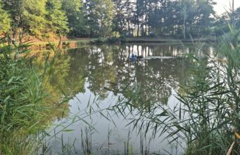 Badewannenrennen in Niederbexbach kehrt an den Angelweiher zurück