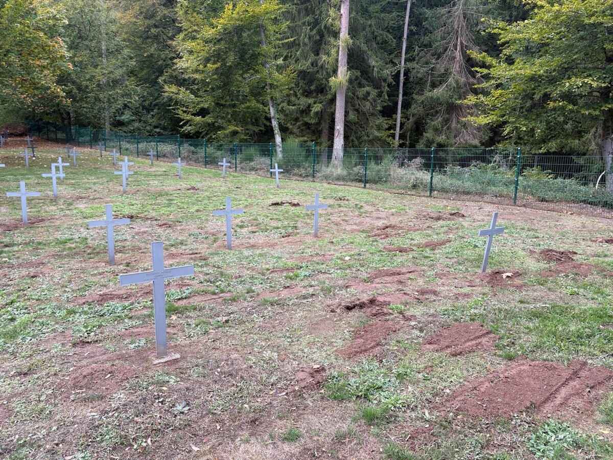 EhrenfriedhofReimsbach.jpeg.jpg