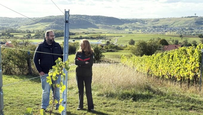 weingut_marx_ckathrin_hinsberger